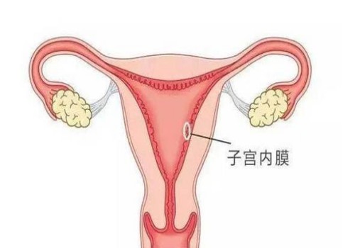 孕妈妈生病后这样应对,能让你早点好起来