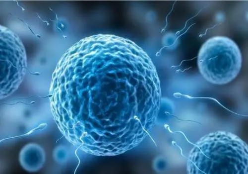 母乳期间发烧还能喂奶吗？能不能喂奶取决于体温
