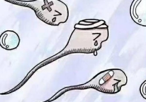 上海助孕生子：卵巢早衰为何不需要特别治疗？医生指出两大原因